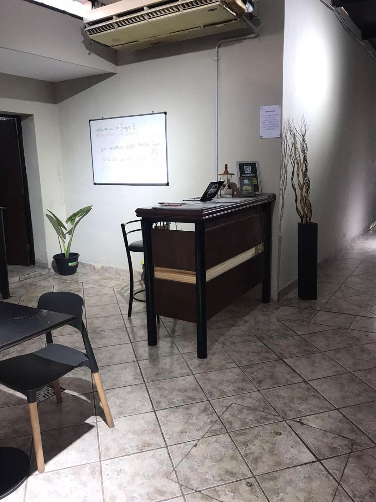 Urban Jungle Hostel San Miguel de Tucumán Eksteriør billede